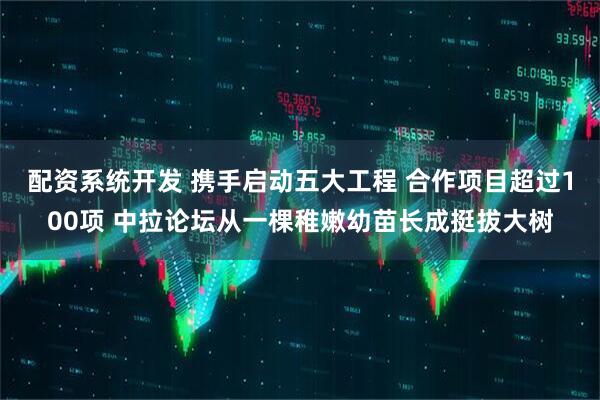 配资系统开发 携手启动五大工程 合作项目超过100项 中拉论坛从一棵稚嫩幼苗长成挺拔大树